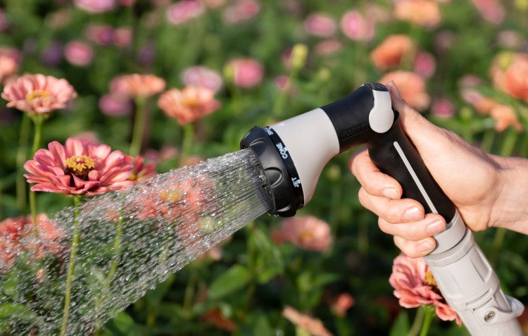 person-hand-watering