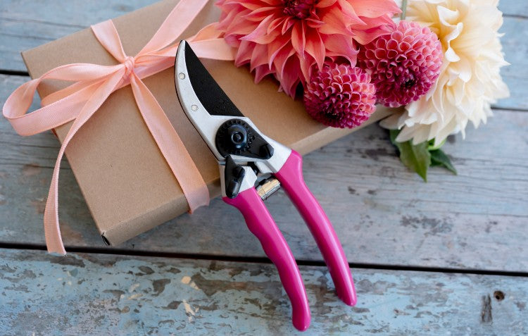 secateurs with flowers on table