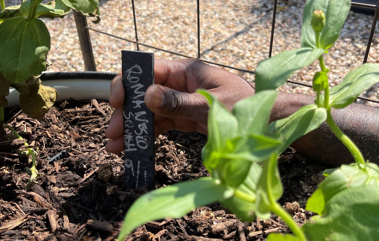 slate plant label in garden bed