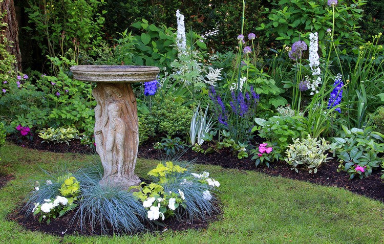 Bird bath in garden