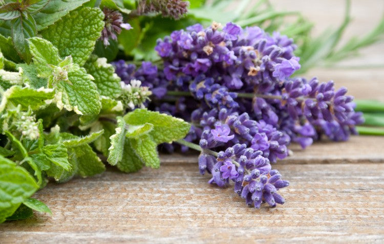 mint-and-lavender