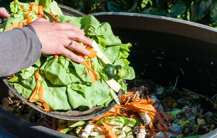 Nutrient-Dense Compost