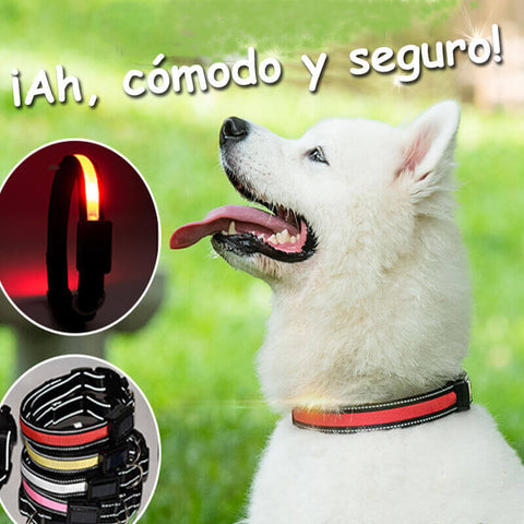 PZRLit Collar Luminoso Perro Recargable con 3 Modos de iluminación Collar Luz  Perro Noche de Seguridad, Ajustable para Cachorros Pequeños, Medianos y  Grandes Collar LED Perro Luminoso-Azul,Pequeño : : Productos para  mascotas