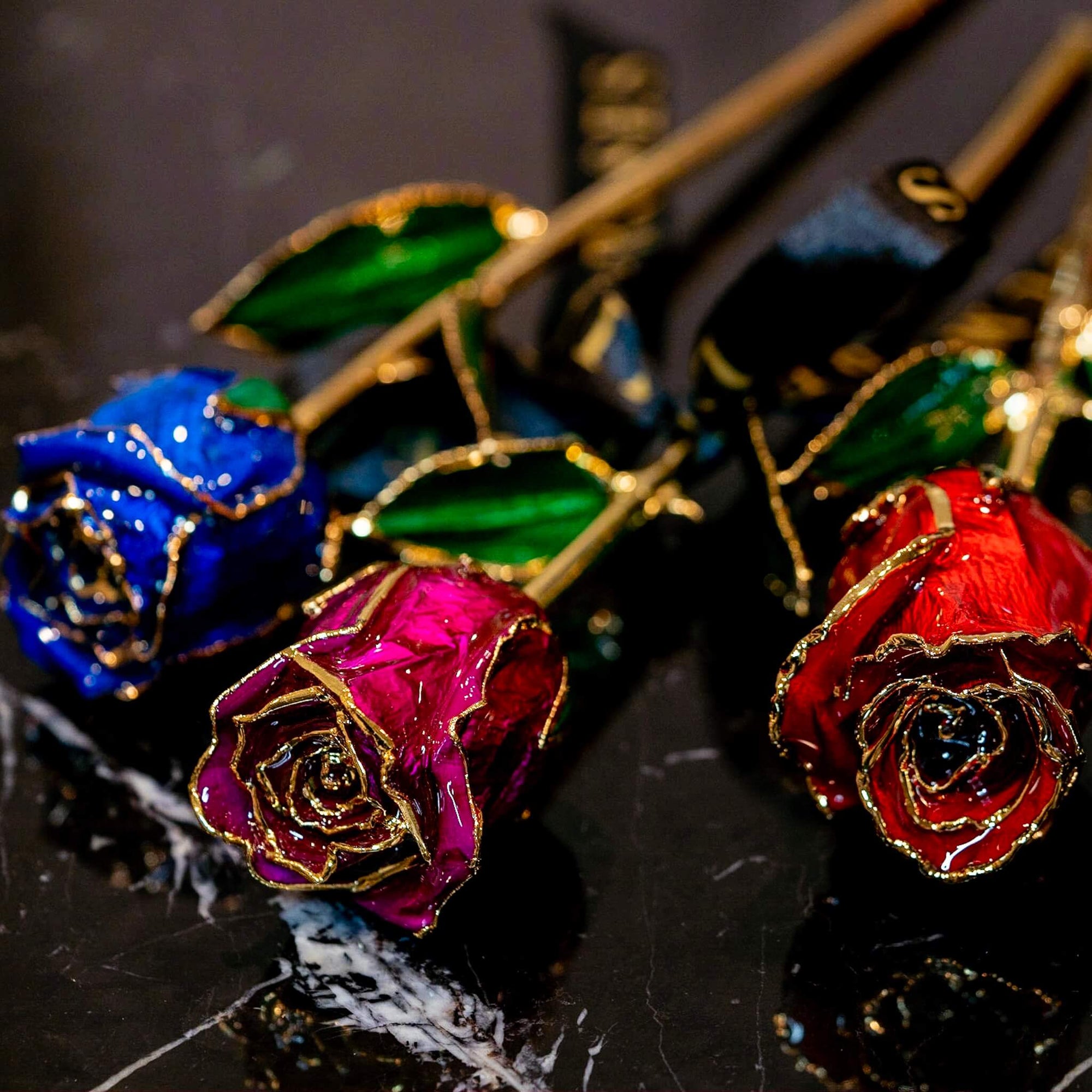 lumiere roses