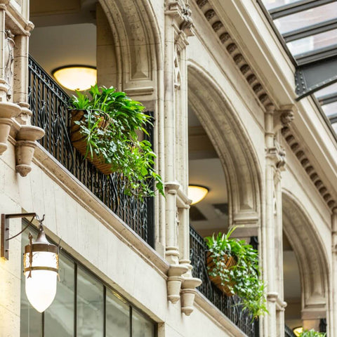 The Grove Arcade Asheville