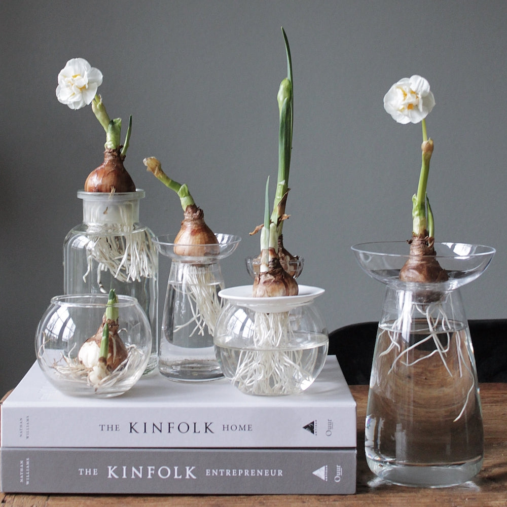 A handthrown and unique ceramic flower frog to dress up your table. – The  Kinship Collection