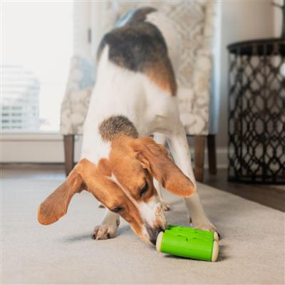 Petsafe - Busy Buddy Ribinator Dog Toy – Des Moines IA, West Des Moines ...