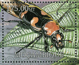 Cockroaches Stamp Nicrophorus Americanus Elaphrus Viridis S/S MNH #5753 / Bl.628