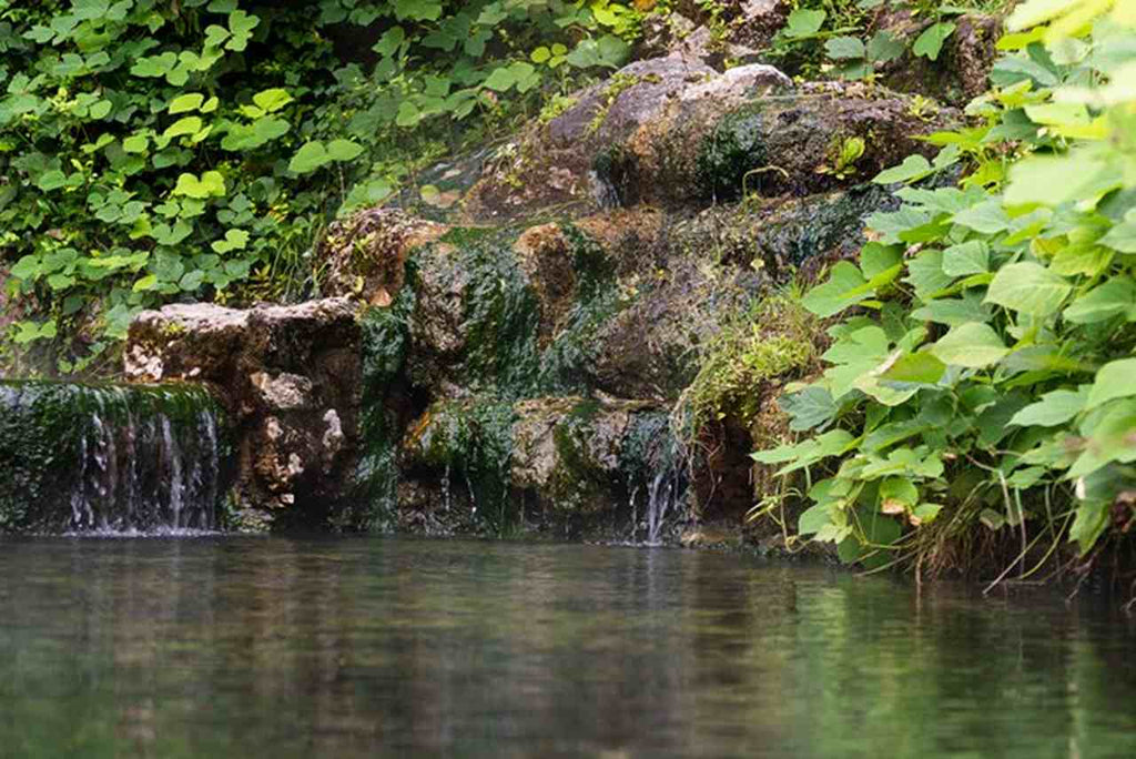 Hot Springs National Park Arkansas