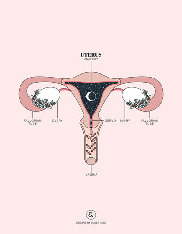 Why is Sex Painful? Pt picture