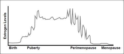 Graph of estrogen throughout the lifecycle