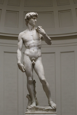 Statue of David, Michelangelo