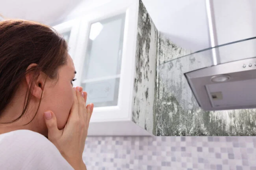 a woman is covering her nose to avoid bad smells in the kitchen