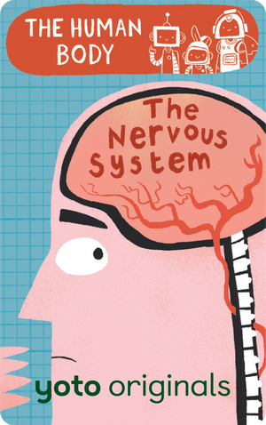 The Human Body: The Nervous System. Yoto
