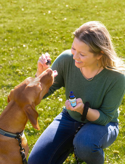 Difference between hemp oil and hemp treats