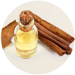 0.1% Cinnamon Oil