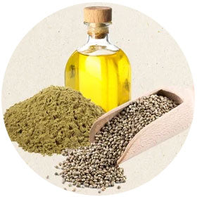 Hemp Extract