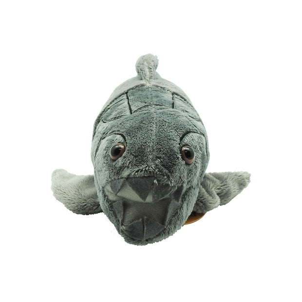 Dunkleosteus Plush | Field Museum Store