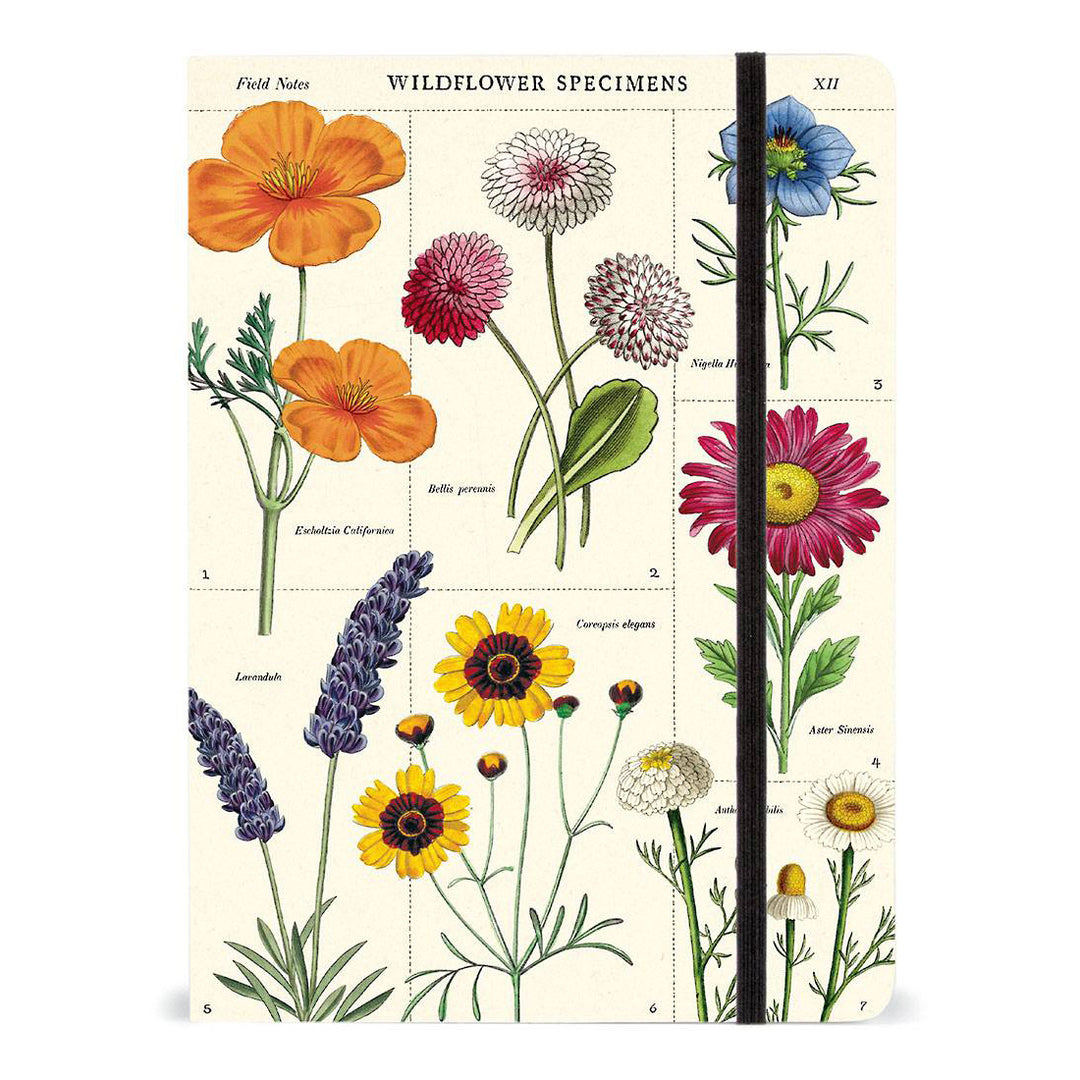 Wildflower Notebook | Field Museum Store
