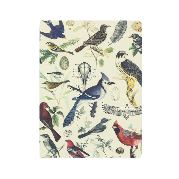 Birds & Feathers Softcover Notebook - Dot Grid