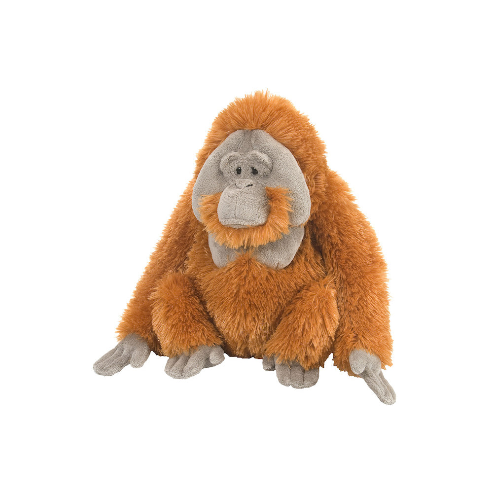 cuddly orangutan