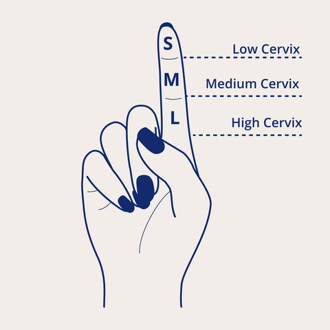 Diagram of how to measure your cervix for a better understanding of your cervix.