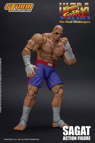 sagat figure