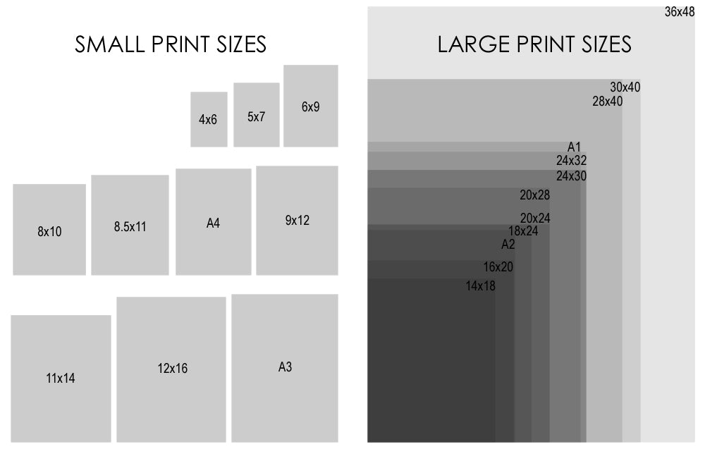 printer-page-sizes