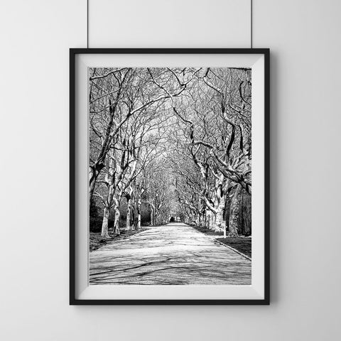 Southampton New York Framed art Street Tree