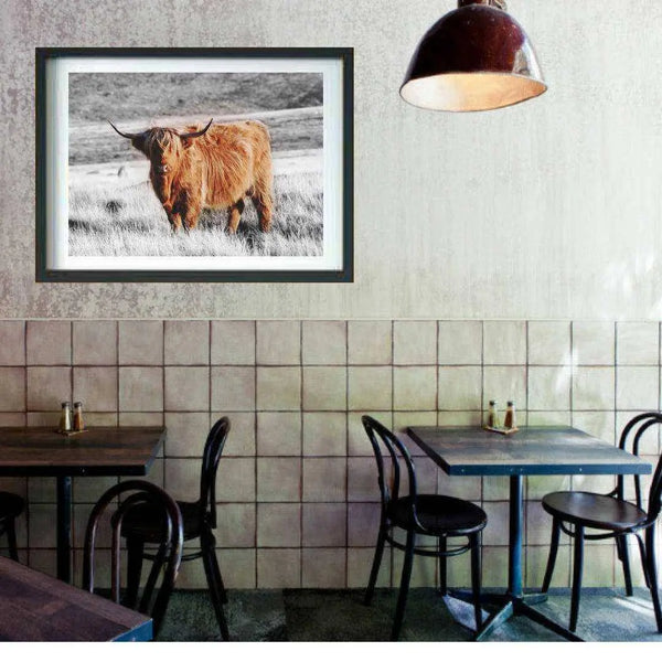 Highland Cow art print Buffalo Animal Print Decor