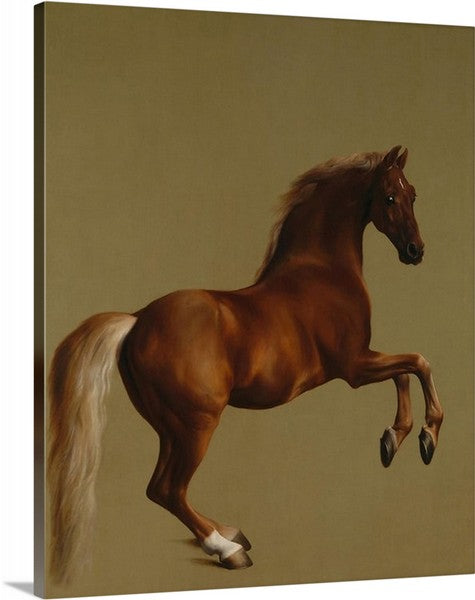 Whistlejacket by George Stubbs Canvas Classic Artwork