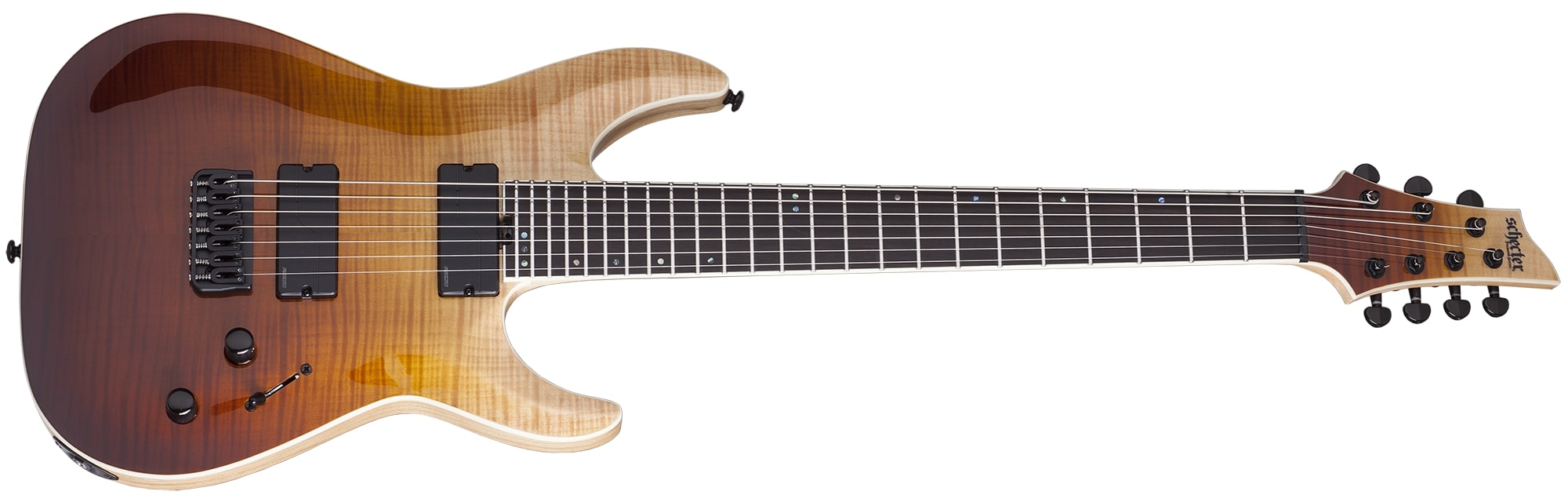 schecter swamp ash