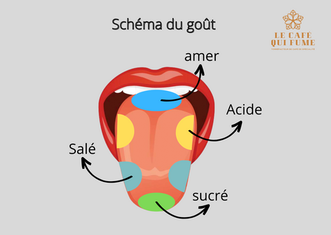 schéma du gout