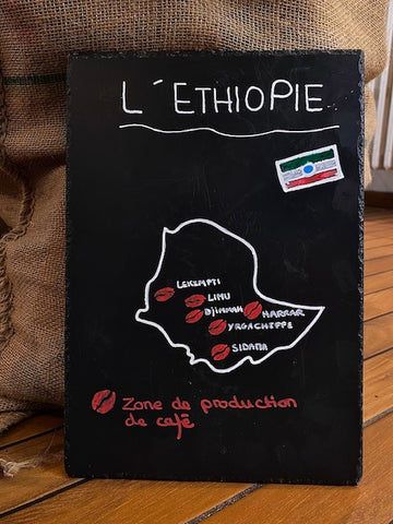 Schéma zones de production du café en Ethiopie et grain de café