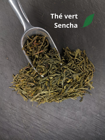 Pelle thé vert Sencha