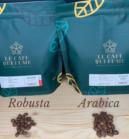 Différence entre le café Robusta et Arabica