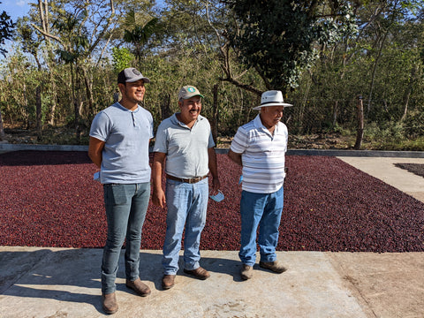 Producteurs de café du guatemala