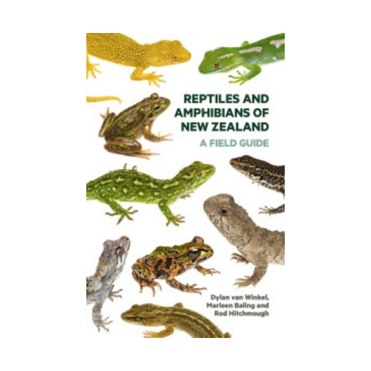 Reptiles and Amphibians of New Zealand – Petronella's Gallery and Bookstore