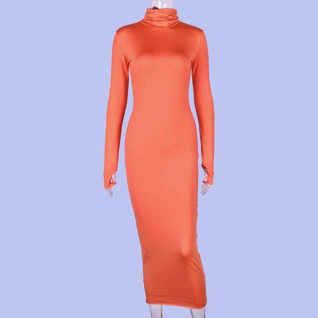 long sleeve turtleneck maxi dress