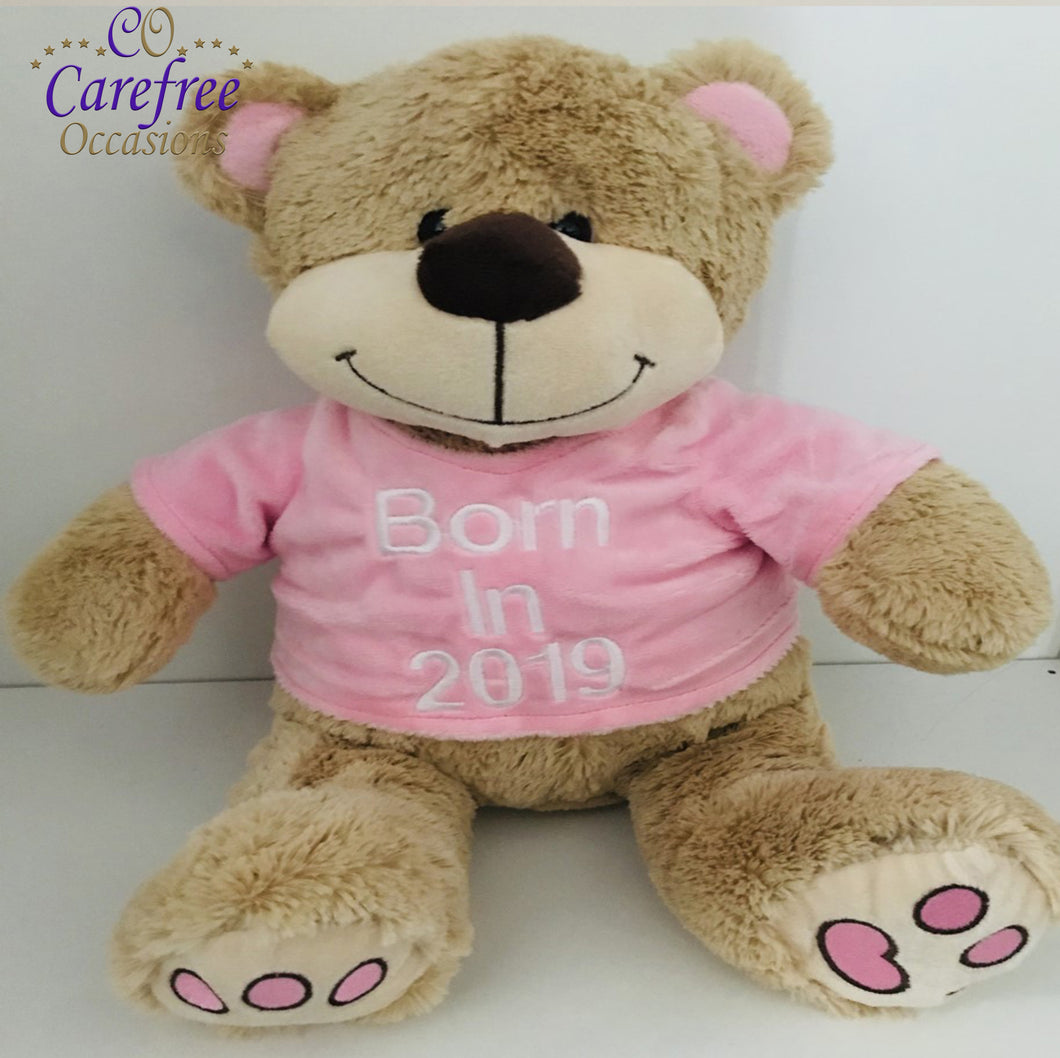 born in 2019 teddy