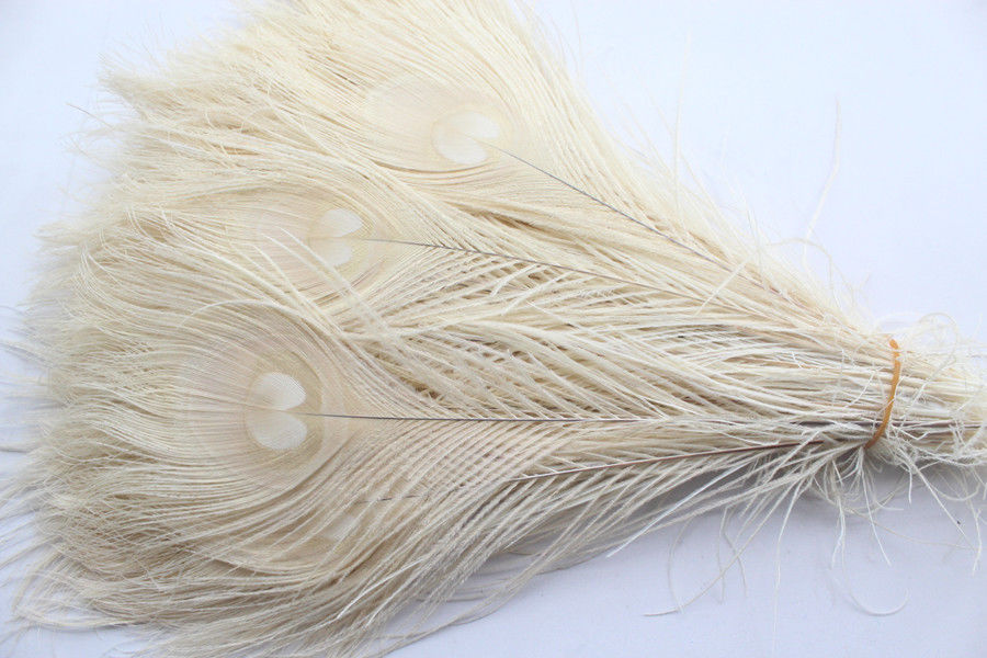 White Peacock Feathers 10 12 Inches Mydealsite