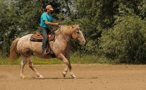 a man horse riding