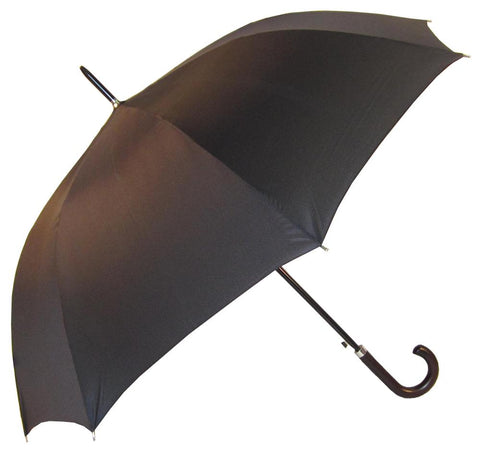 Umbrella with hook handle