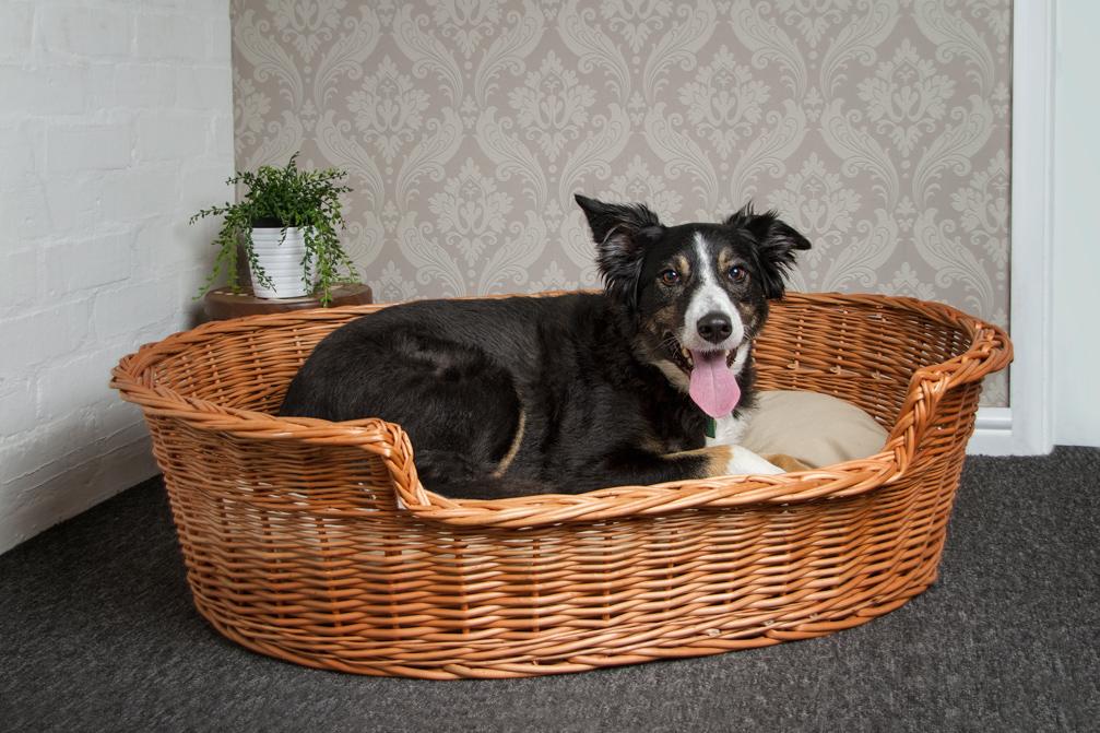 wicker dog basket