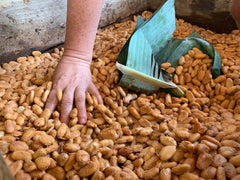 Fermentación Lua