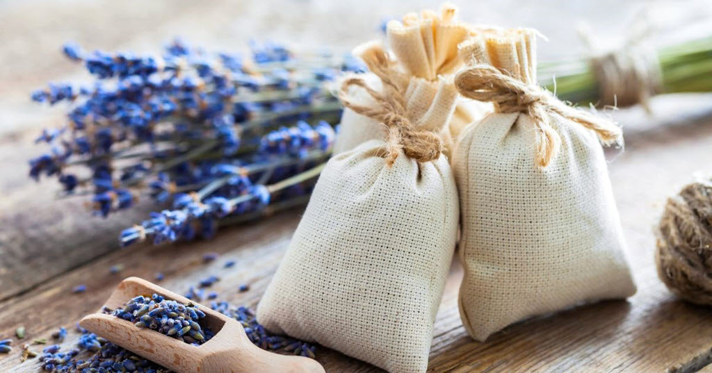 Lavender Magic: Holiday DIY Ideas to Spark Joy and Relaxation