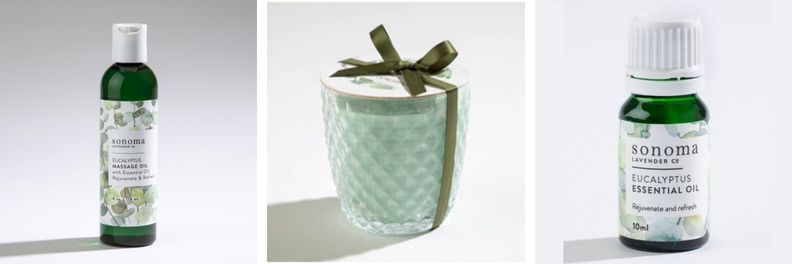 Sonoma Eucalyptus Massage Oil Candle and Essential Oil