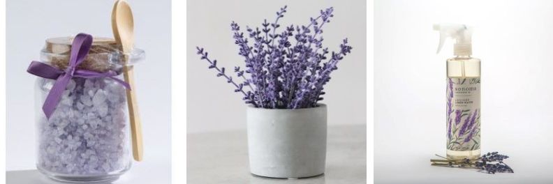 Sonoma Lavender Bath Salts Dried Lavender Bouquet Linen Spray