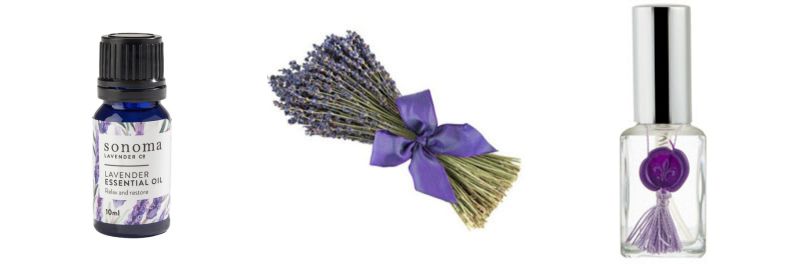 Sonoma Lavender Essential Oil Dried Lavender And Oil Spray