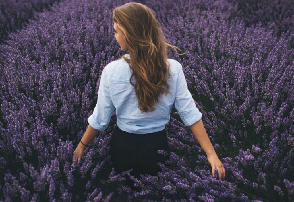 how lavender can help you stop worrying and be happy sonoma lavender